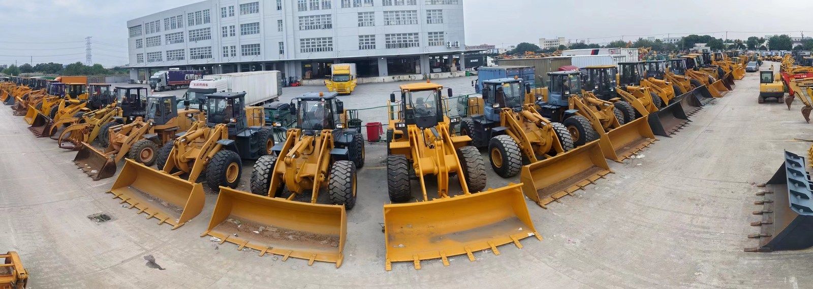 Çin Shanghai Jiaming Trading Co., Ltd. Şirket Profili 